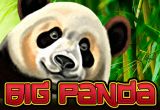 Big Panda