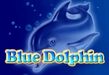 Blue Dolphin