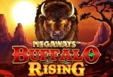 Buffalo Rising Megaways