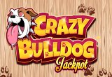 Crazy Bulldog