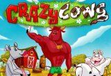 Crazy Cows