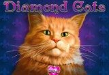 Diamond Cats