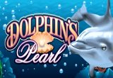 Dolphins Pearl