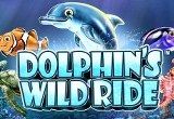 Dolphins Wild Ride