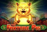 Fortune Pig