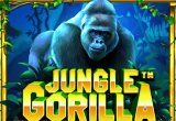 Jungle Gorilla