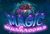 Magic Mushrooms