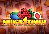 Nudge 4 Timer