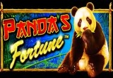 Panda’s Fortune