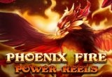 Phoenix Fire Power Reels