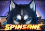 Spinsane