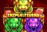 Triple Tigers