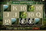 Untamed Giant Panda