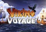 Viking Voyage