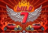 Wild 7