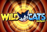 Wild Cats