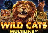 Wild Cats Multiline