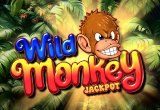 Wild Monkey