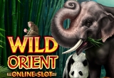 Wild Orient